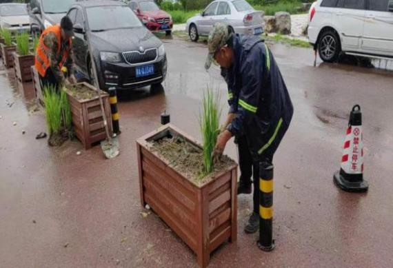 喜报！尊龙凯时控股所属北京天房绿茵园林绿化工程有限公司荣获2022年“后沙峪杯”顺义区第三届新时代文明实践自愿效劳项目大赛三等奖