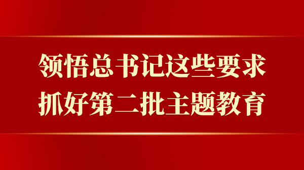 意会总书记这些要求，，，，抓好第二批主题教育